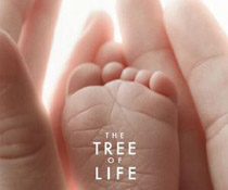 ���T�Ӱ����֮��